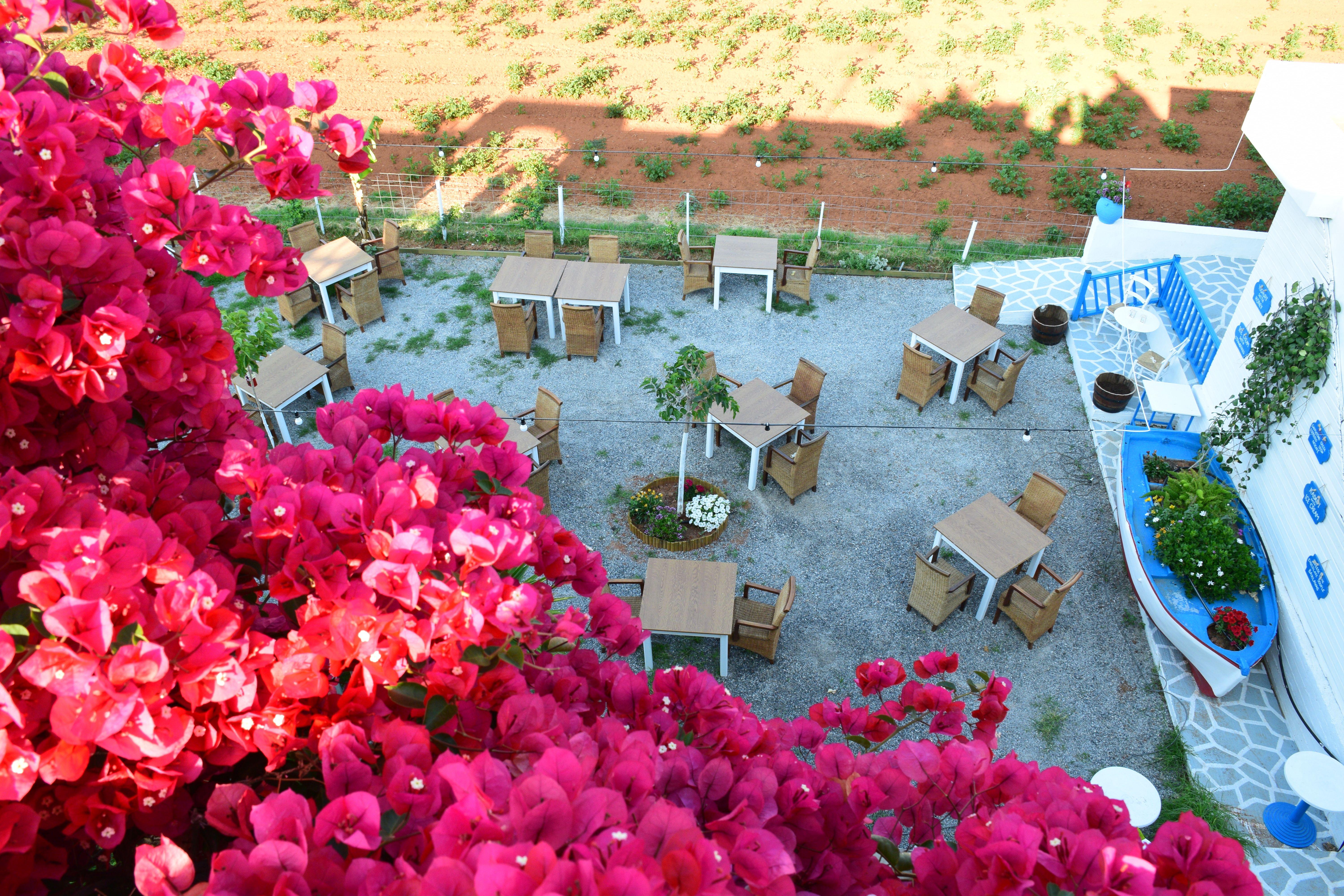 Malia Studios Hotel-Apts by Estia Exterior foto