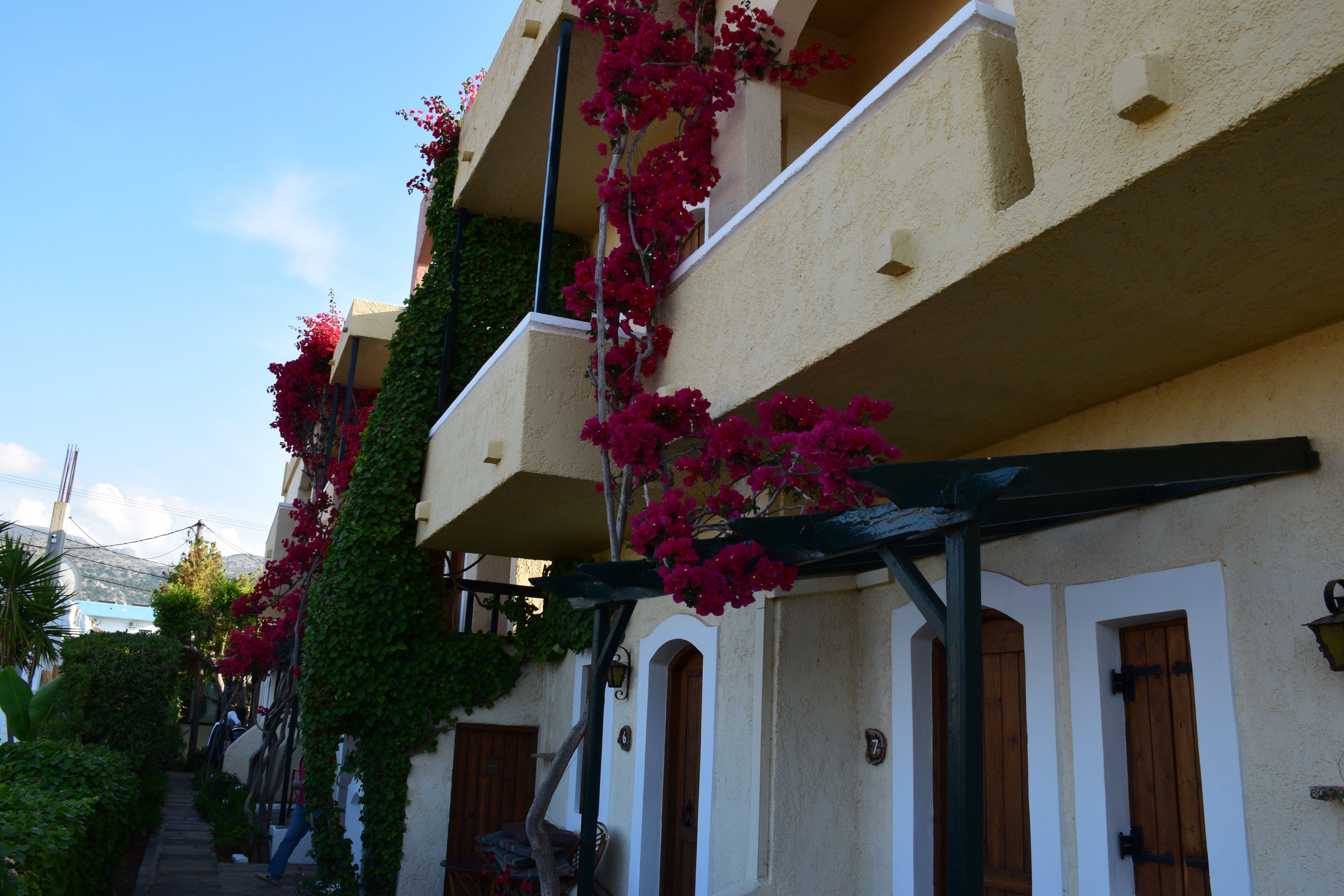 Malia Studios Hotel-Apts by Estia Exterior foto